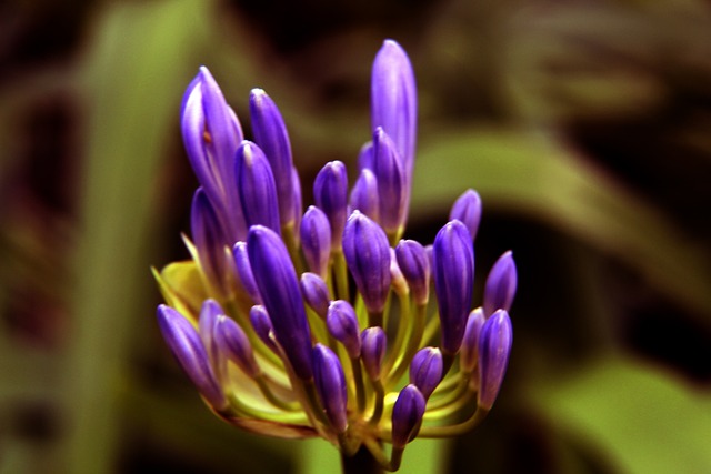 动人心的成 动人心的成