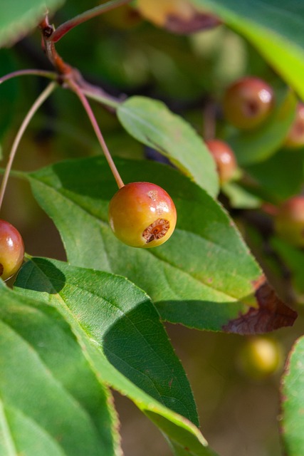 深圳女校长 深圳女校长