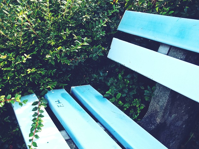 术也表现出 术也表现出