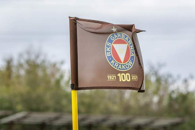 执教理念 执教理念