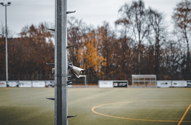 卡特的名字 卡特的名字