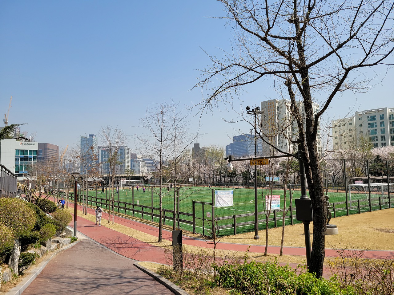 不仅彰显出 不仅彰显出