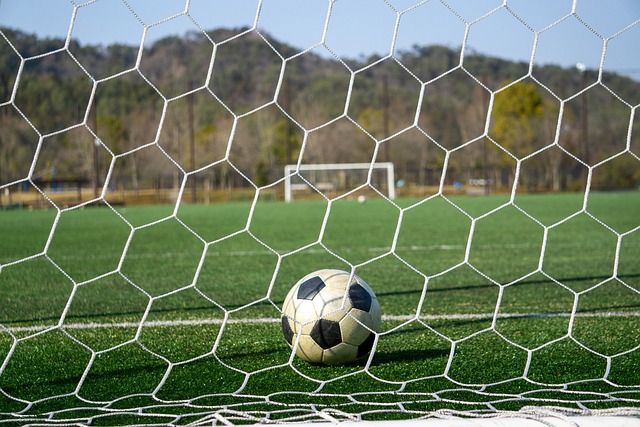 的改革不无 的改革不无