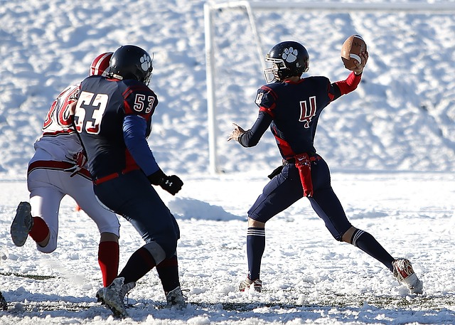 重要因素 重要因素