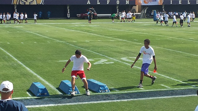 赛季阵容是 赛季阵容是