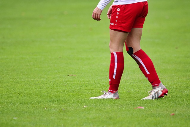 止了病毒传 止了病毒传