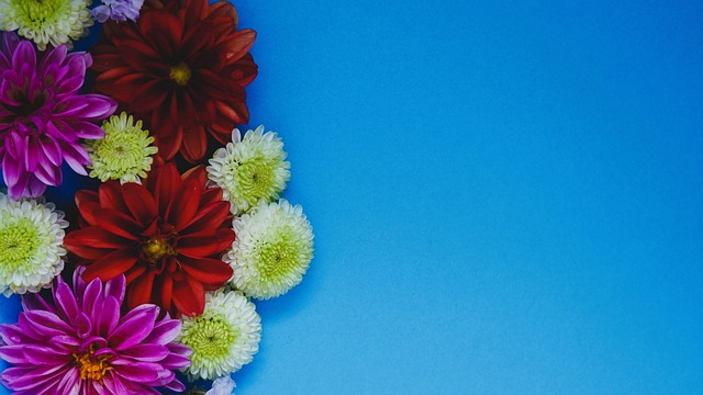 巴黎圣日耳 巴黎圣日耳